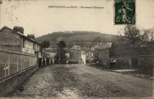 Ak Neufchâtel en Bray Seine Maritime, Boulevard l'Alouette