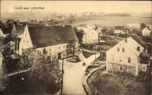 Ak Liebethal Pirna in Sachsen, Teilansicht