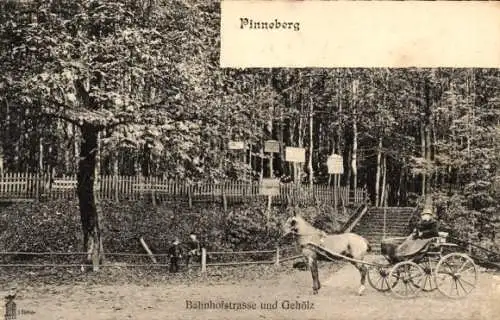 Ak Pinneberg in Holstein, Bahnhofstraße und Gehölz, Kutsche