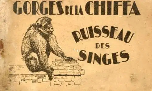 Album mit 12 Ak "Gorges de la Chiffa, Ruisseau des Singes"