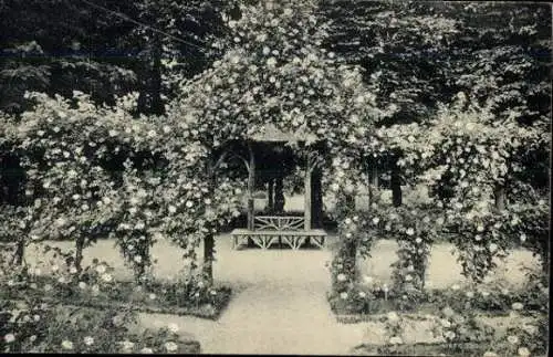 Set von 25 AK Roseraie L’Haÿ-les-Roses