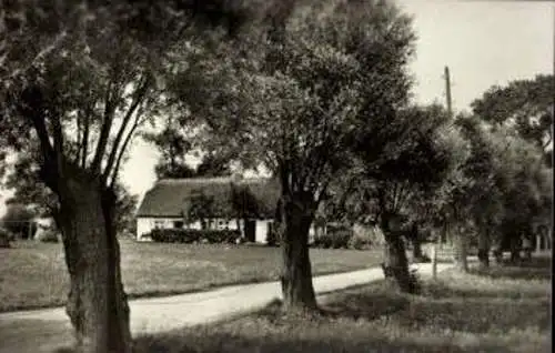 Set von 11 Fotos im Umschlag, Insel Hiddensee