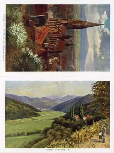 Set von 12 malerische AK von Freiburg im Breisgau, H. Hoffman