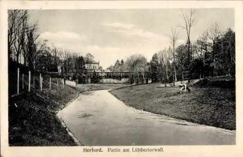 Ak Herford in Westfalen, Lübbertorwall, Kuh