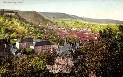 Ak Blankenburg am Harz, Panorama