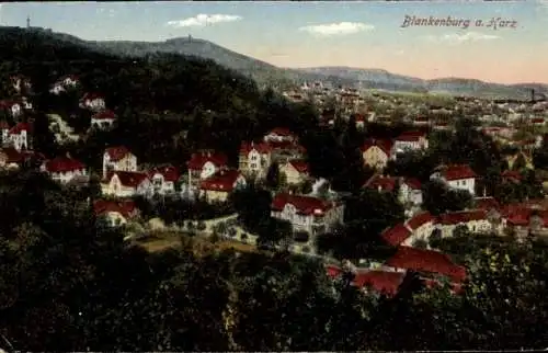 Ak Blankenburg am Harz, Gesamtansicht