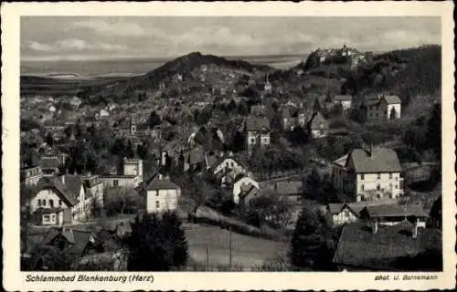 Ak Blankenburg am Harz, Gesamtansicht, Kirche