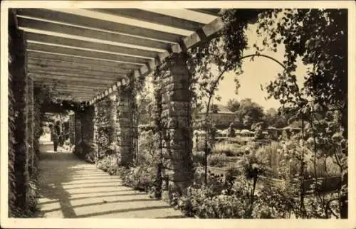 Ak Nymphenburg München Bayern, Botanischer Garten, Laubengang