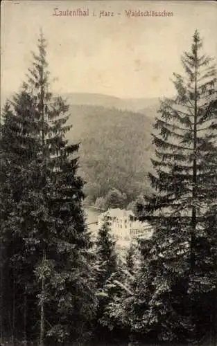 Ak Lautenthal Langelsheim im Oberharz, Waldschlösschen