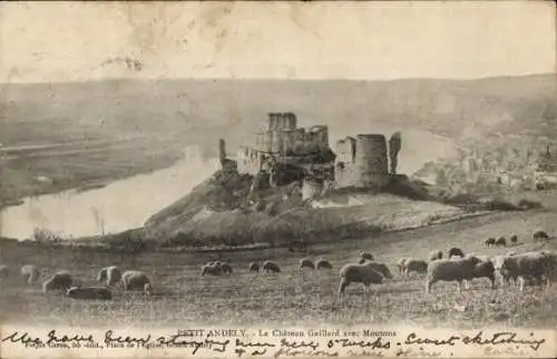 Ak Petit Andely Eure, Chateau Gaillard, Moutons