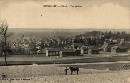 Ak Neufchâtel en Bray Seine Maritime, Gesamtansicht