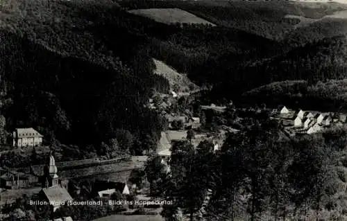 Ak Wald Brilon im Sauerland, Hoppecketal