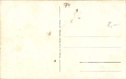 Ak Altenburg in Thüringen, Teilansicht, Schloss