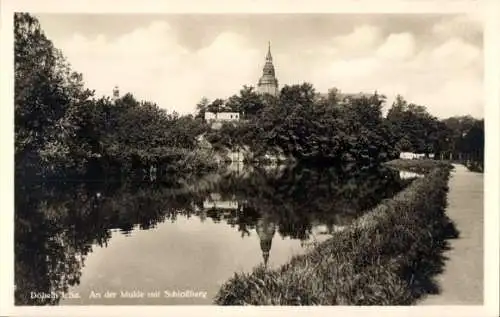 Ak Döbeln in Sachsen, an der Mulde, Schlossberg