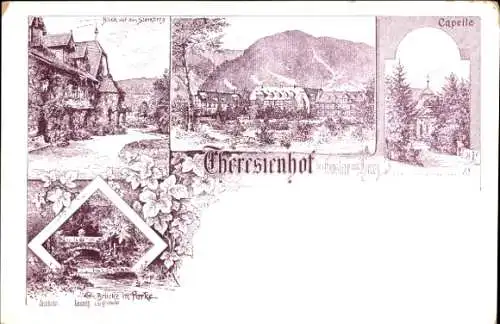 Litho Goslar am Harz, Theresienhof, Kapelle, Brücke im Park, Blick auf den Steinberg