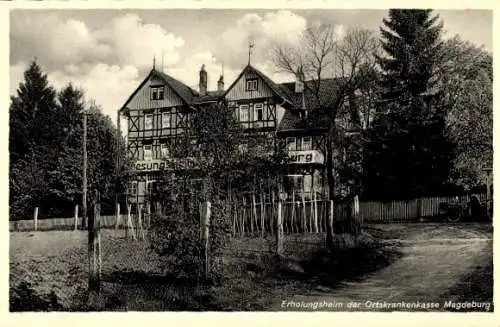 Ak Hasserode Wernigerode im Harz, Erholungsheim der Ortskrankenkasse Magdeburg