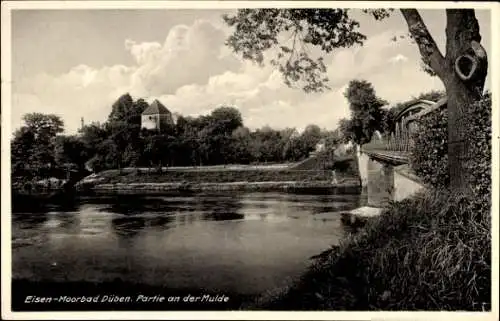 Ak Bad Düben an der Mulde Sachsen, Eisen-Moorbad, Ufer Mulde