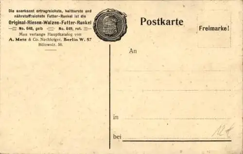 Ak Reklame, A, Metz & Co, Berlin, Original-Riesen-Walzen-Futter-Runkel