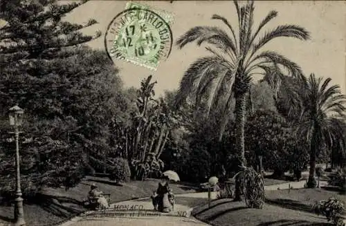 Ak Monaco, Casino-Garten, Palmen