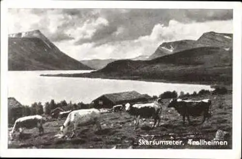 Set von 140 Ansichten von Norwegen 