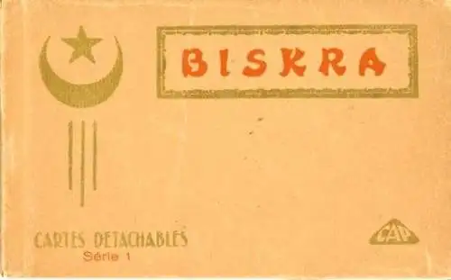 Album mit 19 Ak Biskra Algerien