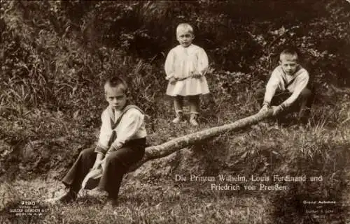 Ak Prinzen Wilhelm, Louis Ferdinand und Friedrich von Preußen, Liersch 7190