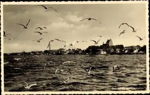 Ak Heiligenhafen in Ostholstein, Blick auf die Stadt vom Wasser aus, Möwen