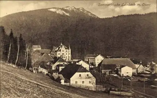 Ak Lambach Lam im Bayerischen Wald Oberpfalz, Teilansicht