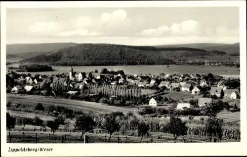 Ak Lippoldsberg Bodenfelde in Niedersachsen, Panorama