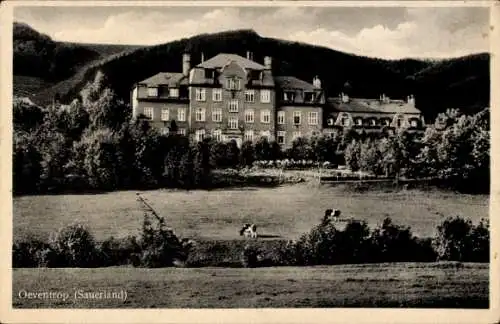Ak Oeventrop Arnsberg im Sauerland, Teilansicht, Kühe