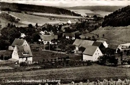 Ak Dörnholthausen Sundern im Sauerland, Panorama