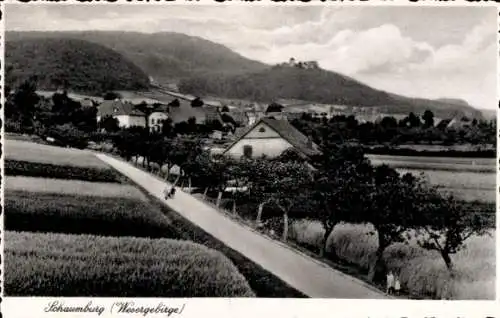 Ak Schaumburg Rinteln an der Weser, Schloss Schaumburg, Burg, Panorama