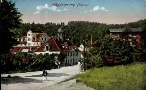 Ak Mägdesprung Harzgerode am Harz, Teilansicht