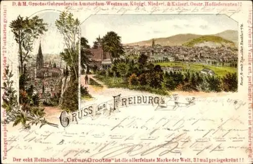 Litho Freiburg im Breisgau, Gesamtansicht, Panorama