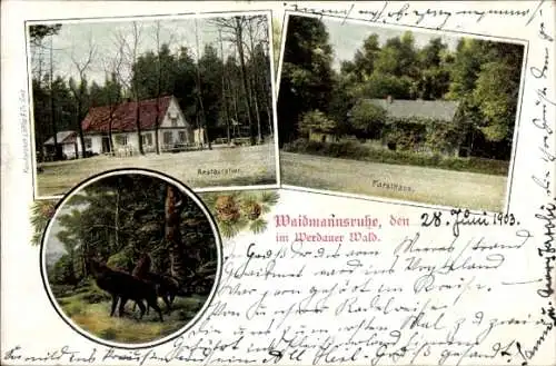 Ak Werdau in Sachsen, Waidmannsruhe im Werdauer Wald, Forsthaus, Restaurant