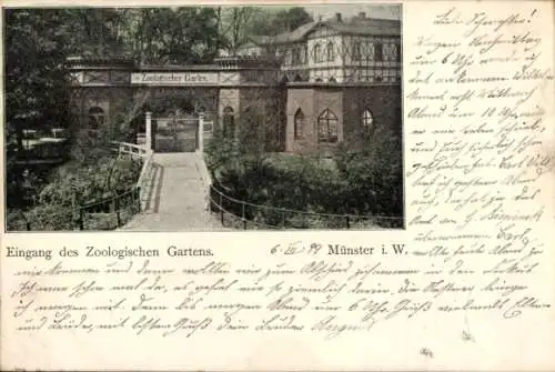 Ak Münster in Westfalen, Zoologischer Garten, Eingang