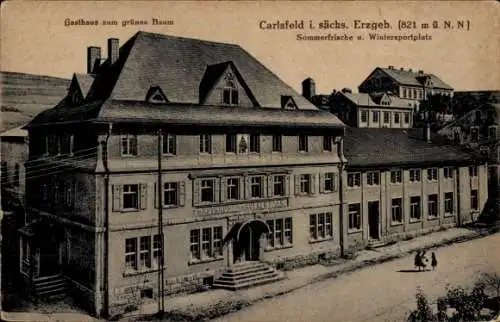 Ak Carlsfeld Eibenstock im Erzgebirge, Gasthaus zum grünen Baum