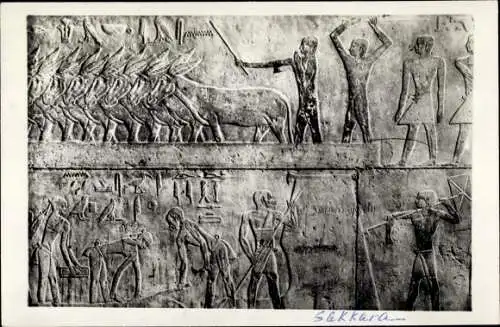 Ak Sakkara Ägypten, Relief