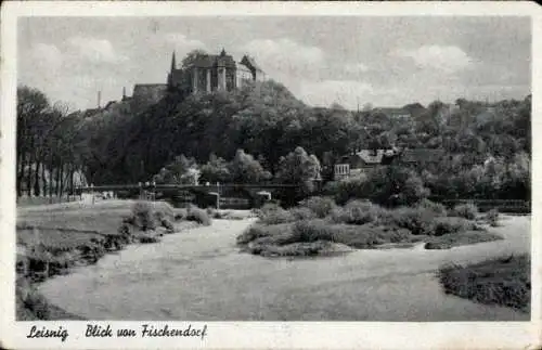 Ak Leisnig in Sachsen, Blick von Fischendorf, Teilansicht, Brücke