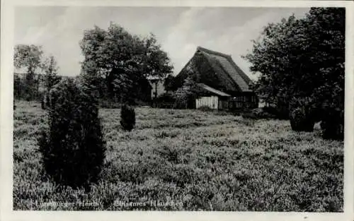 Ak Lüneburger Heide, Einsames Häuschen
