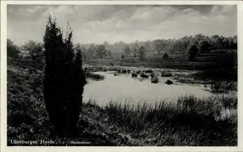 Ak Lüneburger Heide, Heidemoor