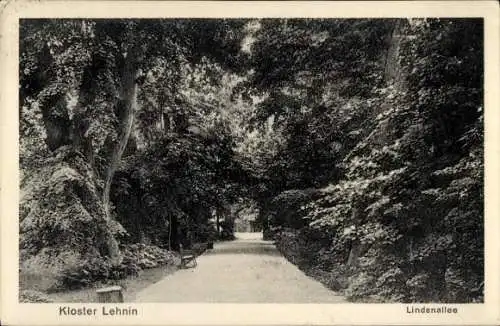 Ak Kloster Lehnin in der Mark, Lindenallee