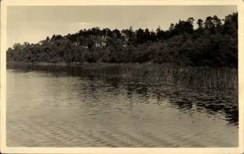 Ak Mirow in Mecklenburg, Zootzensee