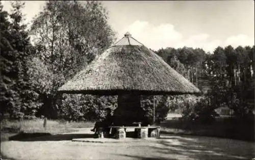 Ak Buckow in der Märkischen Schweiz, Pavillon, Kurpark