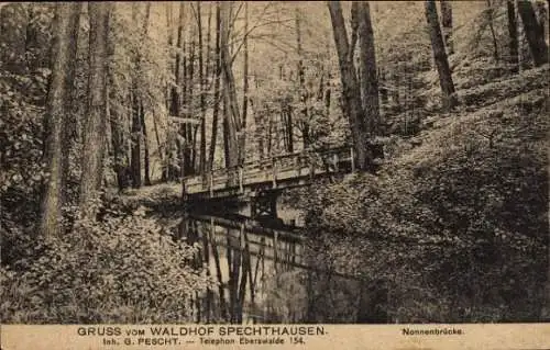 Ak Spechthausen Eberswalde im Kreis Barnim, Waldhof, Nonnenbrücke