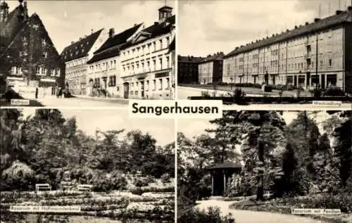 Ak Sangerhausen am Südharz, Rathaus, Westsiedlung, Rosarium, Hoffmanndenkmal, Pavillon