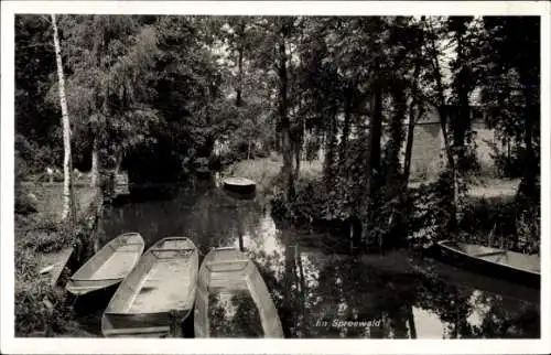 Ak Spreewald, Fluss, Kähne