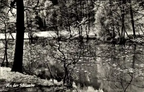 Ak Schlaubetal Brandenburg, An der Schlaube