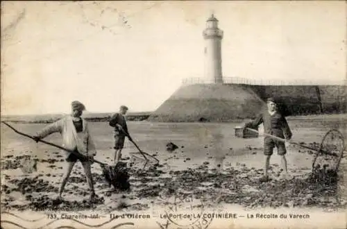 Ak La Cotinière Saint Pierre d'Oléron Charente Maritime, Hafen, La Recoite du Varech