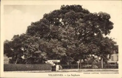 Ak Villennes sur Seine Yvelines, Le Sophora